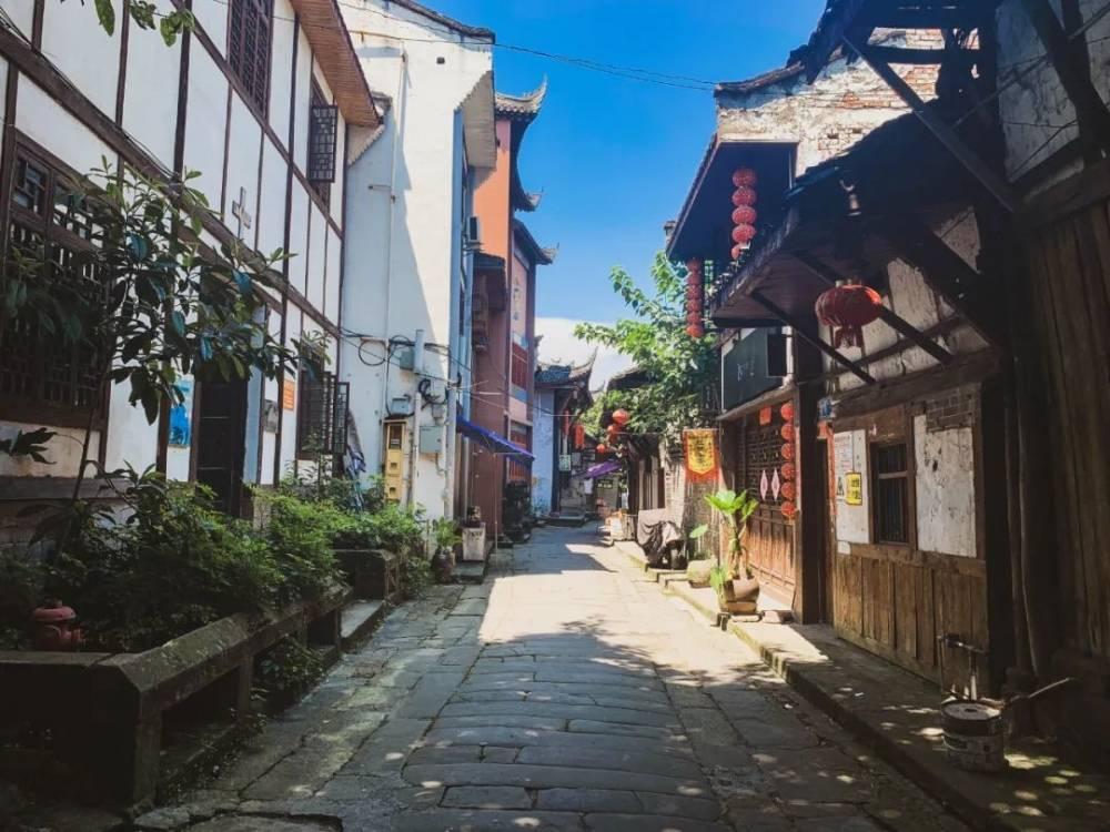 创作猫